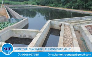 xử lý nước thải chăn nuôi