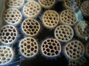 giá thể vi sinh mbbr