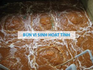 bùn vi sinh